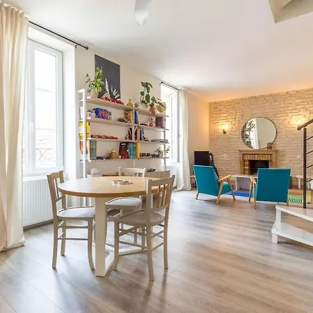 Le Duplex Pernot Apartment Dijon Exterior photo